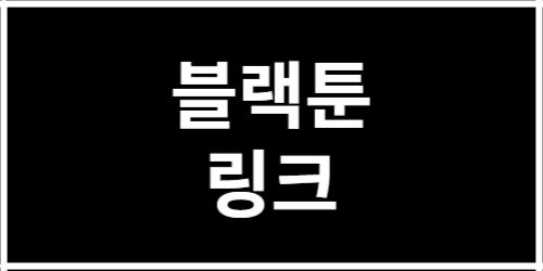 블랙툰링크